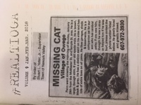 Zine