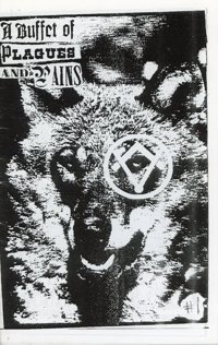 Zine